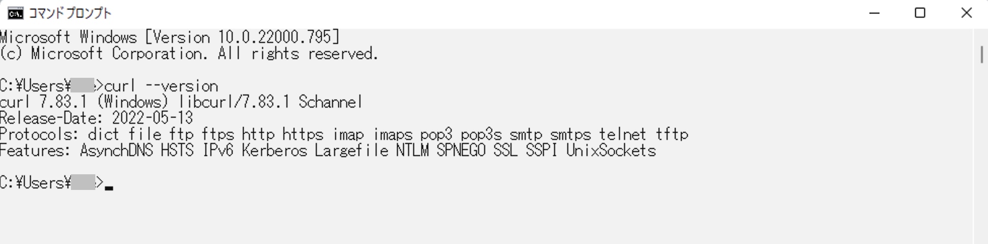 Curl REST API 